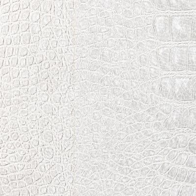 White crocodile texture background.